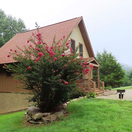 Scenic Fox Ridge Cabin On 4 Acres With Hot Tub! Whittier Exteriér fotografie