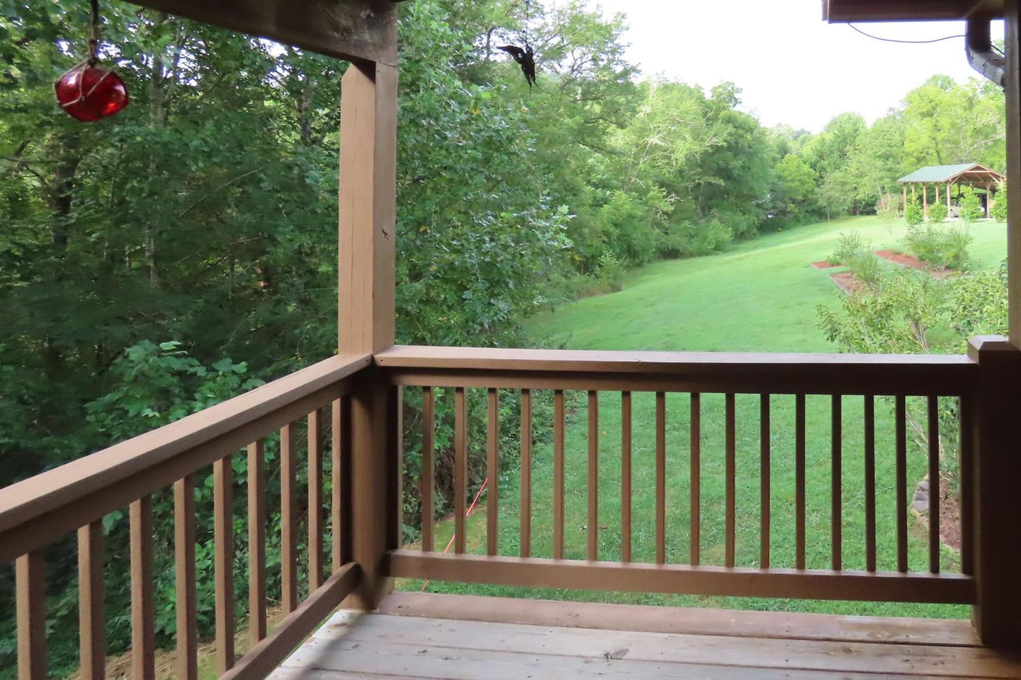 Scenic Fox Ridge Cabin On 4 Acres With Hot Tub! Whittier Exteriér fotografie