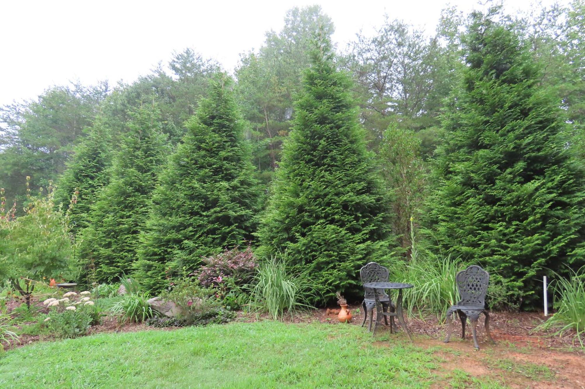 Scenic Fox Ridge Cabin On 4 Acres With Hot Tub! Whittier Exteriér fotografie